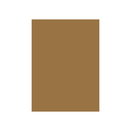Cartolina 50x65cm Castanho Terra 10T 180g 1 Folha ,  , 17205947/UN , 5609185002271